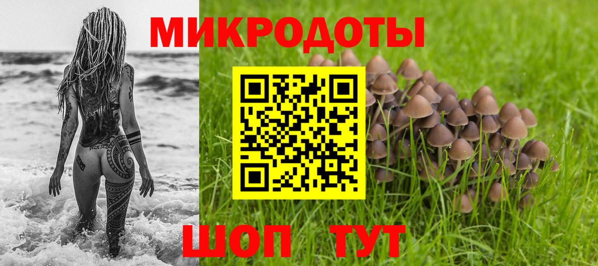 Галлюциногенные грибы MAGIC MUSHROOMS Полысаево
