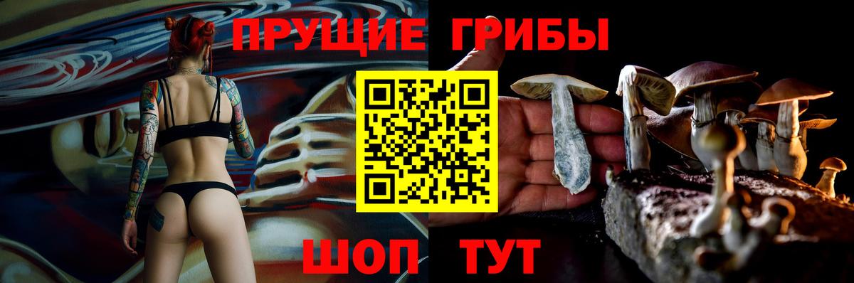 Галлюциногенные грибы Psilocybine cubensis  Галлюциногенные грибы Cubensis  Вход с VPN  Полысаево 